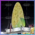 Inflatable Corn Replica With Led Lights Vivid Giant  Promotional Corn Vegetables Model For Roof Decoration