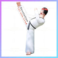 Inflatable Taekwondo Sports Character Blow Inflatable Toys 3m High  Up Kung Fu Academy Boy For Advertising Decoration Toy-BG-C00