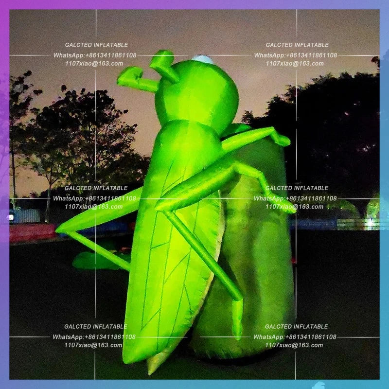 Inflatable Grasshopper Decorations Customized 2.7x3m Big Inflated Cartoon Toys For Party Event Home Decoration-Toys