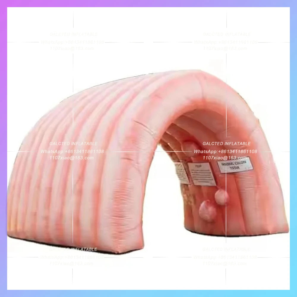 Inflatable Colon Dome Custom Teaching Use Giant  Inflatable Intestine Organ Tunnel Tent For Medical Display