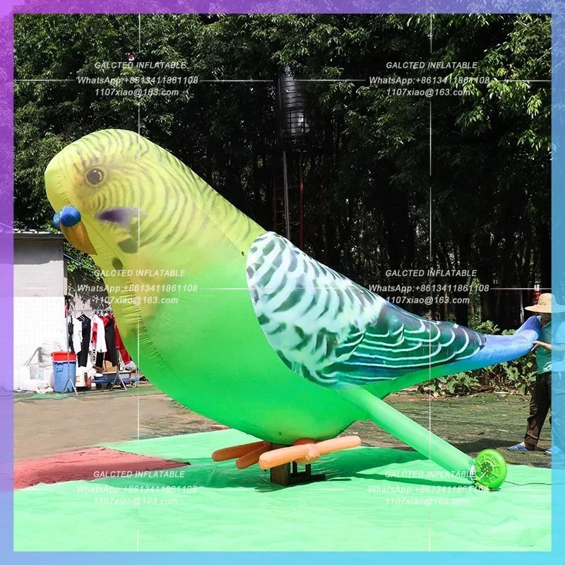 Advertising Event Decoration Realistic Inflatable Parrot Balloon For  3m/10ft Height Budgie Balloon Balloon Toys