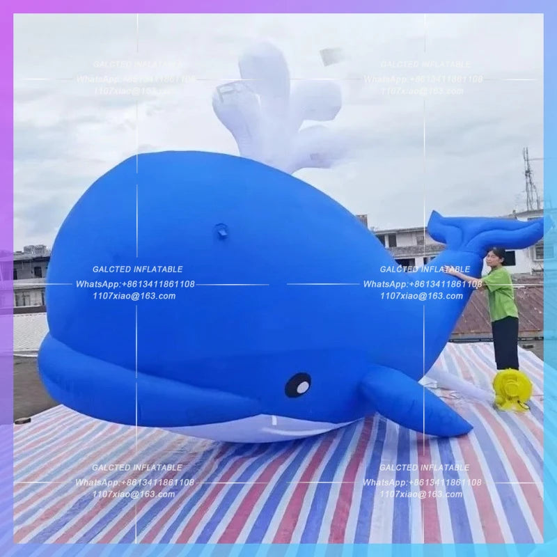 swimming aninal giant cartoon dolphin Ocean inflatable dolphin blue for aquarium zoo festival decoration prop