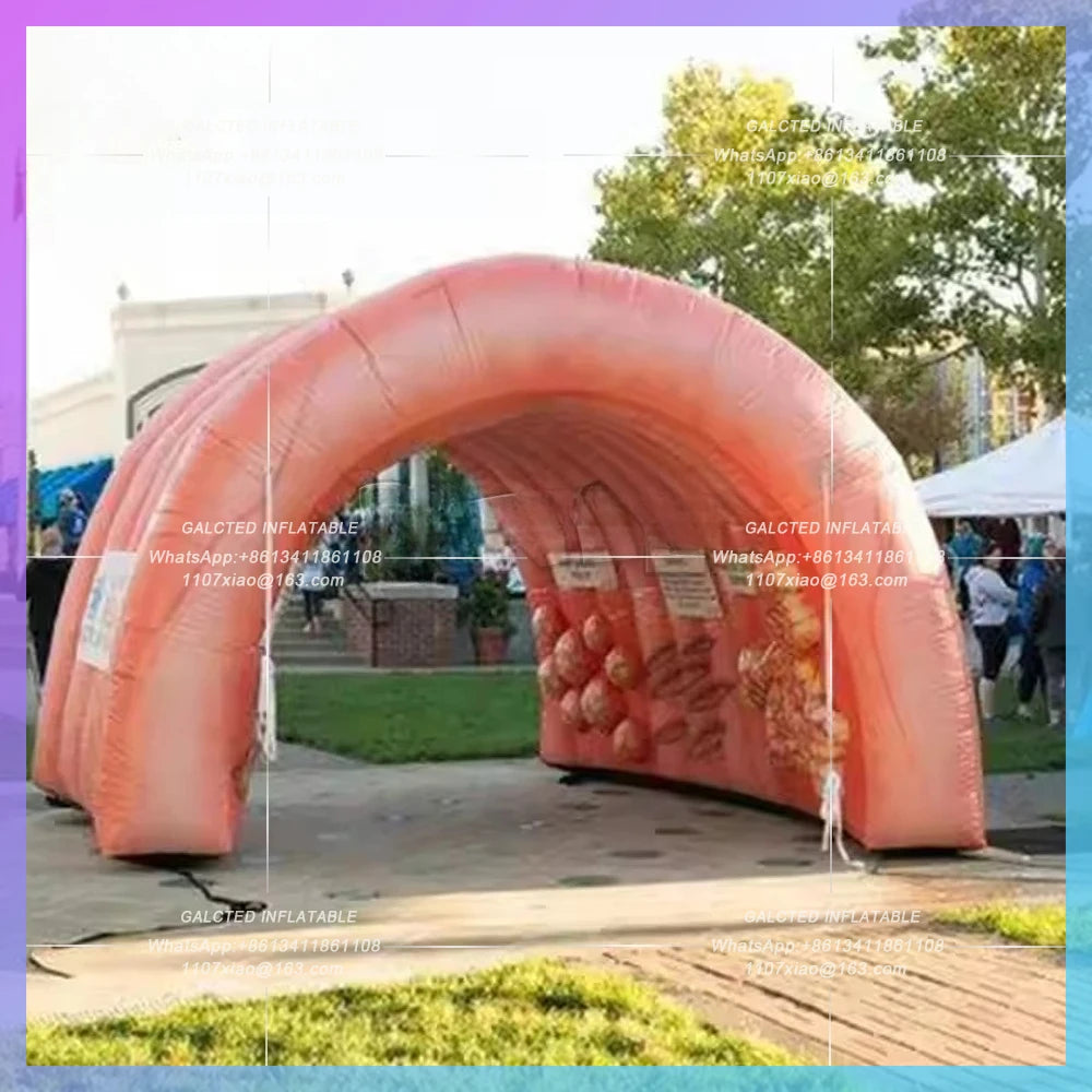 Inflatable Colon Dome Custom Teaching Use Giant  Inflatable Intestine Organ Tunnel Tent For Medical Display