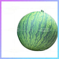 watermelon festival rural fruit  Inflatable watermelon air model market music festival bar stage lighting advertisement