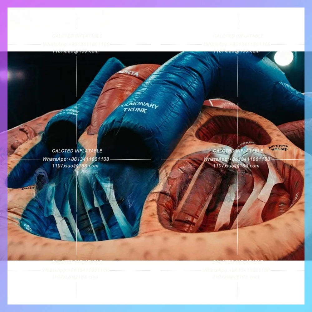 inflatable realistic heart and lung model Medical theme advertising event  for promotion,inflatable lung with tumor for Medical
