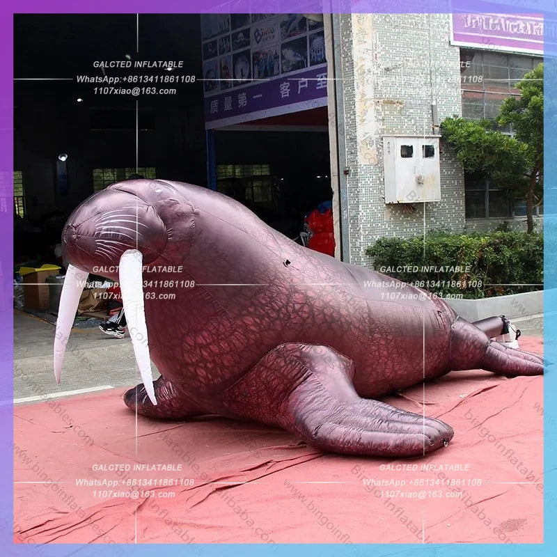 Inflatable Walrus / Shark Balloons / Ocean Theme Inflatable Sea Turtle for Decoration /  Inflatable Marine Life - Toys