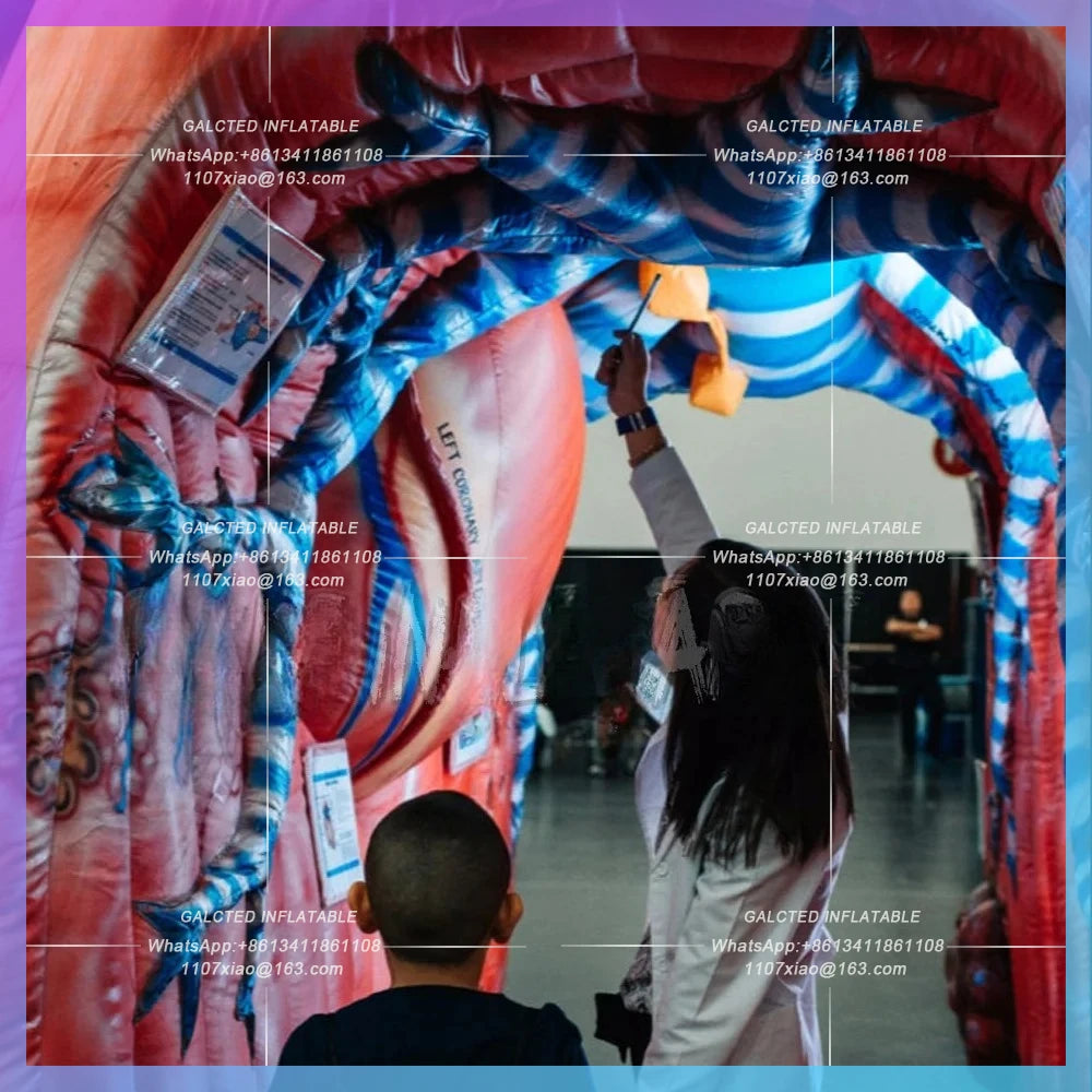 inflatable realistic heart and lung model Medical theme advertising event  for promotion,inflatable lung with tumor for Medical
