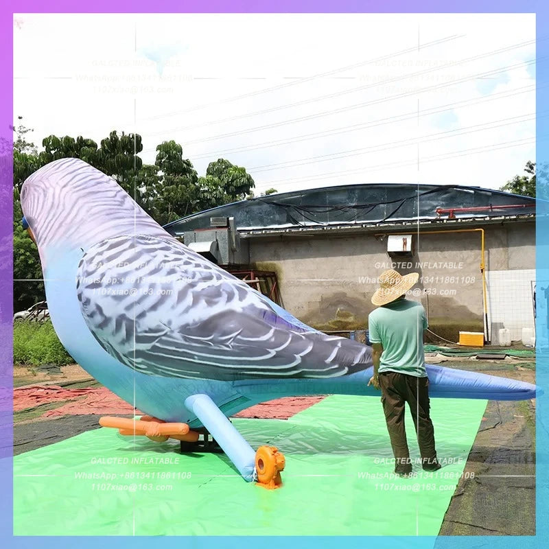 Advertising Event Decoration Realistic Inflatable Parrot Balloon For  3m/10ft Height Budgie Balloon Balloon Toys