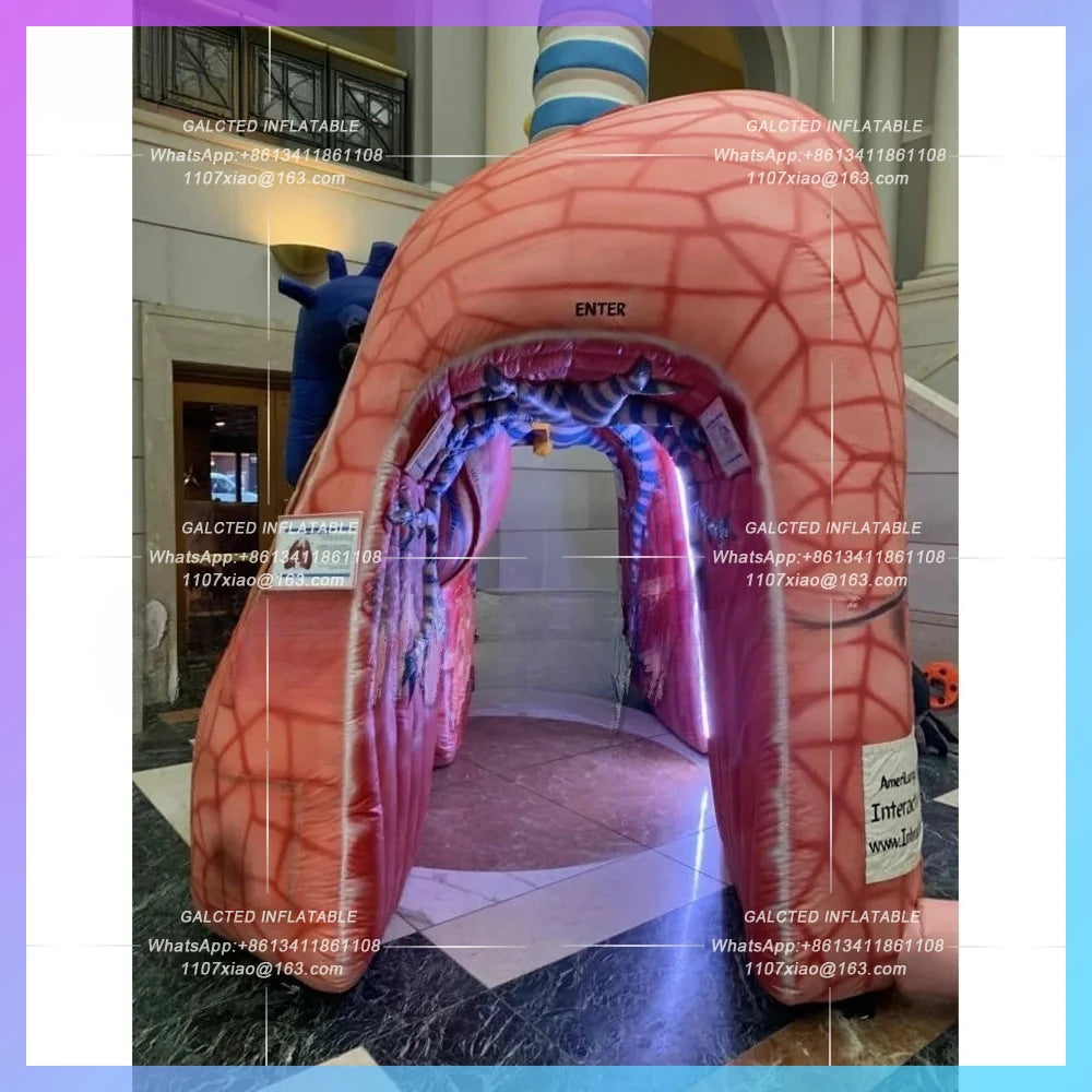 inflatable realistic heart and lung model Medical theme advertising event  for promotion,inflatable lung with tumor for Medical