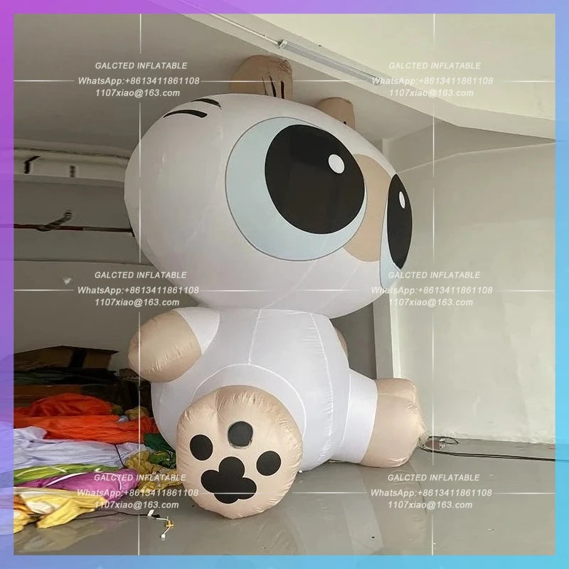XIAODOUNI big-eyed cat Inflatable cartoon Siamese Cat Model  IP linkage flash custom lighting mall atrium props