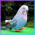 Inflatable Green Parrot Blue Parrot Vivid 3mH Inflatable Toys For Outdoor Decorations-Toys