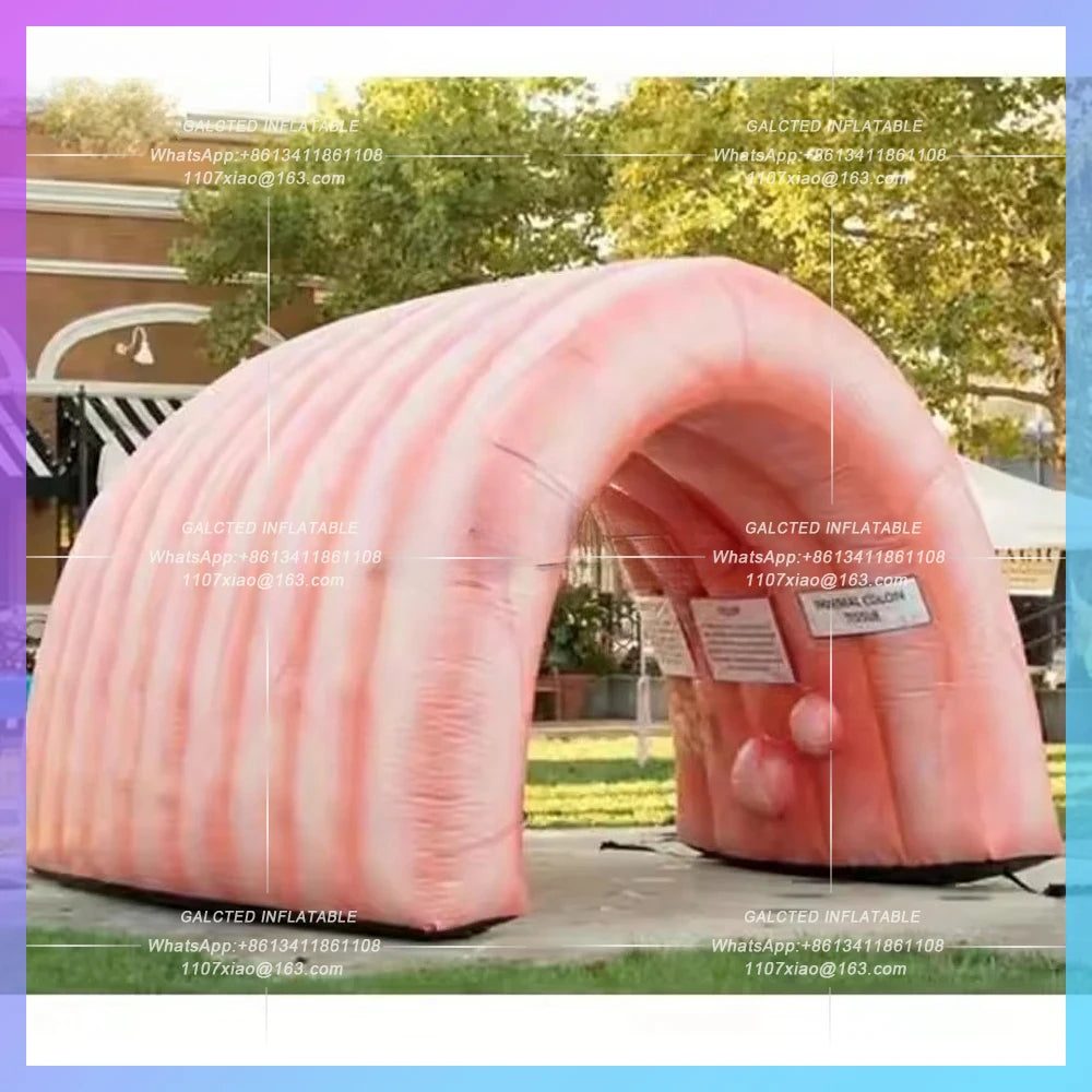Inflatable Colon Dome Custom Teaching Use Giant  Inflatable Intestine Organ Tunnel Tent For Medical Display