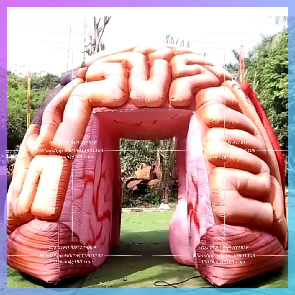inflatable brain model colorful Lifelike 4m giant  promotional fearful inflatable cerebrum replica tent for medical display