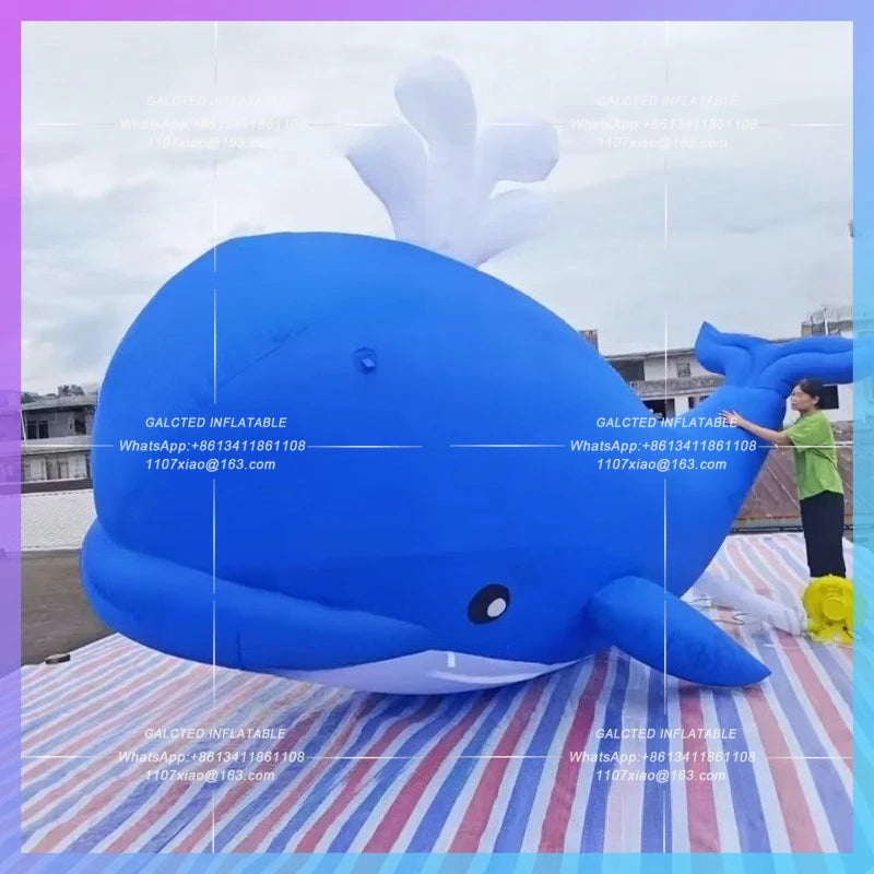 swimming aninal giant cartoon dolphin Ocean inflatable dolphin blue for aquarium zoo festival decoration prop