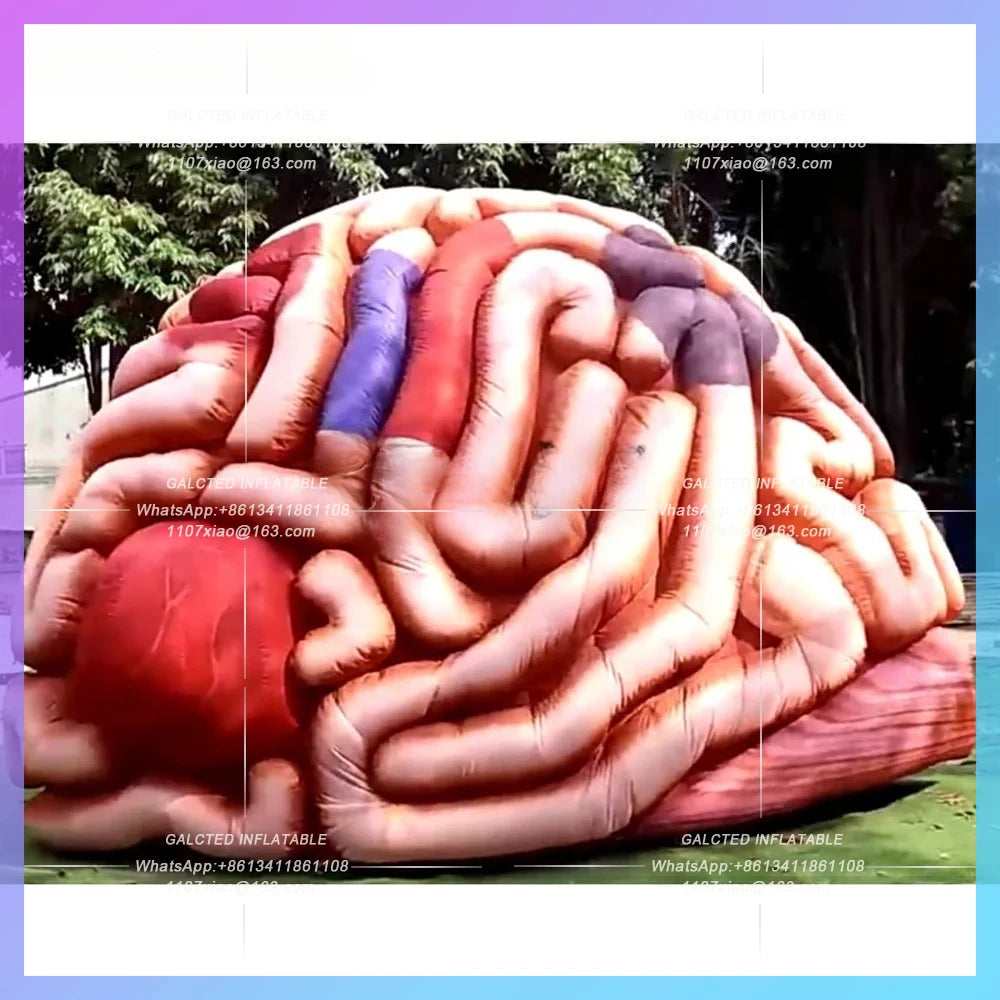 inflatable brain model colorful Lifelike 4m giant  promotional fearful inflatable cerebrum replica tent for medical display