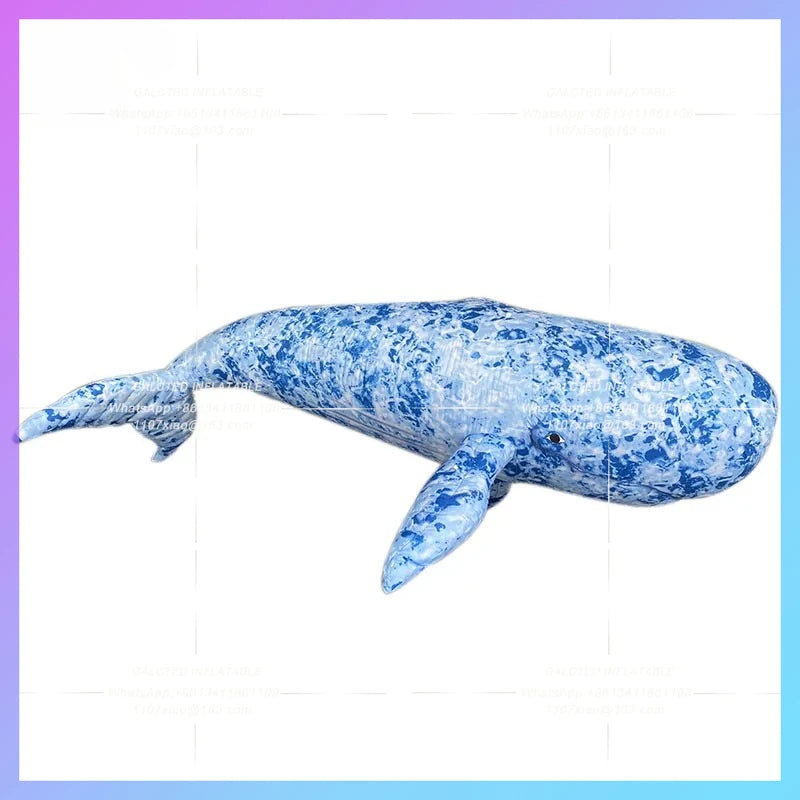 marine mammal star sperm Giant inflatable cartoon whale model  whale humpback whale mall bar stage hanging lights props
